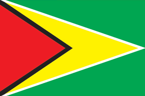 Guyana flag